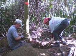 Volunteers Tom Williamson and Cathy Prince dig holes for the education pavilion. Volunteers Tom Williamson and Cathy Prince dig holes for the education pavilion.
